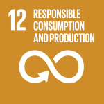 SDG 12 Responsible consumption and production